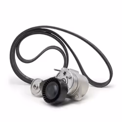 V-ribbed belt set; INA; with freewheel belt pulley; for VOLVO; 30637070, 30637071, 30637961, 30637962, 30658085