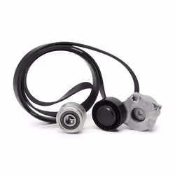 V-ribbed belt set; INA; with freewheel belt pulley; for AUDI, PORSCHE; 04L903024Q, 04L903024R, 059903015P, 059903015T, 059903 ...