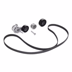 INA 529 0043 20 V-ribbed belt set with freewheel belt pulley BMW: Z4 Roadster, 3 Saloon, X1
