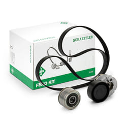 INA 529 0009 20 V-ribbed belt set with freewheel belt pulley RENAULT: MEGANE 2, CLIO 2, CLIO 3, NISSAN: Qashqai 2, Note I, MICRA 4