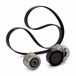 INA 529 0009 20 V-ribbed belt set with freewheel belt pulley RENAULT: MEGANE 2, CLIO 2, CLIO 3, NISSAN: Qashqai 2, Note I, MICRA 4
