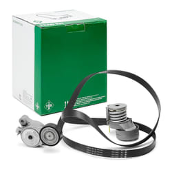 INA 529 0519 20 V-ribbed belt set with freewheel belt pulley VOLKSWAGEN: GOLF 6, Golf 5, Sharan II, SEAT: Alhambra II, Ibiza 4, SKODA: Fabia 2