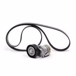 V-ribbed belt set; INA; with freewheel belt pulley; for AUDI, SEAT; 038903315AD, 038903315AG, 038903315AH, 038903315AJ, 03890 ...
