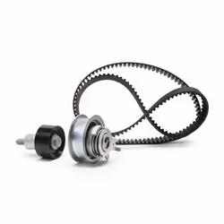 Timing belt kit; INA; 163 with accessories; for VOLKSWAGEN, SKODA, AUDI, SEAT, VW; 04C109244B, 04C109244D, 04C109479G, 04C109 ...