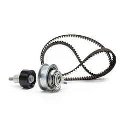 INA 530 0592 11 Timing belt kit 163 with accessories VOLKSWAGEN: Polo V Hatchback, Golf 7, up! Hatchback, SKODA: Octavia 3 Schrägheck