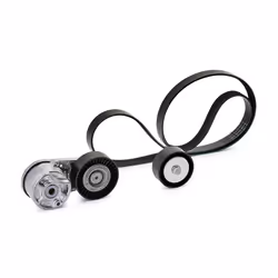 INA 529 0549 10 V-ribbed belt set Check alternator freewheel clutch & replace if necessary FORD: Transit Custom V362 Van, Transit Custom V362 Minibus
