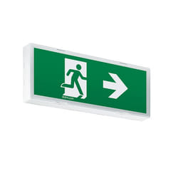 ESYLUX EN10077609 illuminated sign/symbol Rectangle