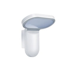 ESYLUX OL 200 LED 5K Outdoor wall lighting 25 W