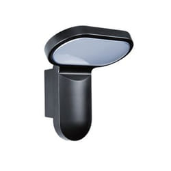 ESYLUX OL 200 LED 5K Outdoor wall lighting 25 W