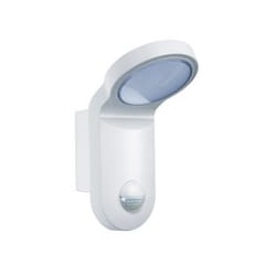 ESYLUX AOL 100 LED 5K Outdoor wall lighting