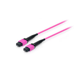 Equip 25555317 InfiniBand/fibre optic cable 3 m MTP Violet