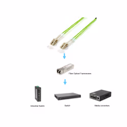 Equip LC/LC Fiber Optic Patch Cable, OM5, 5.0m