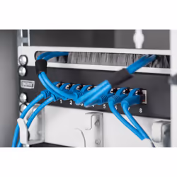 Digitus Wall-mounted housing 254 mm (10") - 312x300 mm (WxD) - Additional view 5