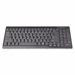 Digitus Keyboard Suitable for TFT Consoles, Russian Layout, Full-size (100%), Wired, Black