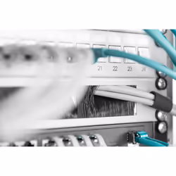 Digitus Cable brush strip for 483 mm (19") cabinets - Additional view 4