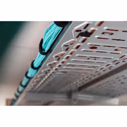 Digitus Hook and loop cable management system, mushroom fastener 2.5m, hook and loop tape 5m - Additional view 6