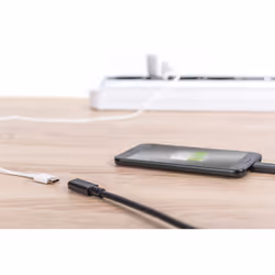Digitus USB Type-C extension cable, Type-C - C - Additional view 4