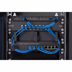 Digitus Wall-mounted housing 254 mm (10") - 312x300 mm (WxD) - Additional view 5