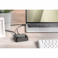 Digitus Dual M.2 NVMe SSD Docking Station with Offline Clone Function, USB-C™ - Additional view 5