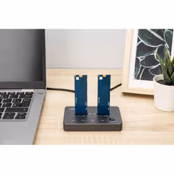 Digitus NVMe cloning station USB3.1 Gen2 Type-C NVMe M.2 SSD enclosure - Additional view 2