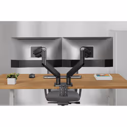 Digitus Dual monitor mount, 2x 45", 2x 20 kg - Additional view 3
