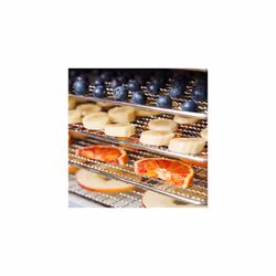 Gastroback Design Dehydrator Pro