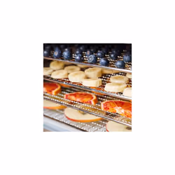 Gastroback Design Dehydrator Max