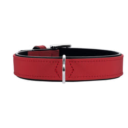 Hunter Softie Collar, Small, Red