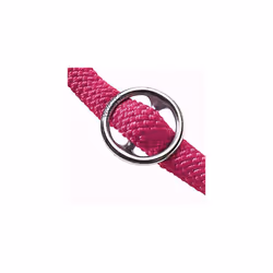 Hunter freestyle training collar
