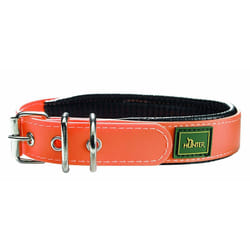 Hunter Convenience Comfort Collar - Neon Orange, 20mm x 45cm
