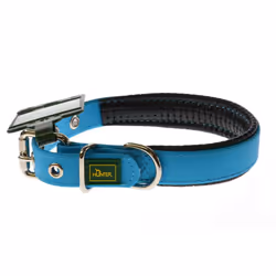 Hunter Convenience Comfort Collar - Neon Turquoise , 20mm x 40cm