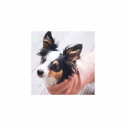 Dog pullover RÃ¶gla, 40 cm light pink