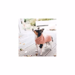 Dog pullover RÃ¶gla, 40 cm light pink