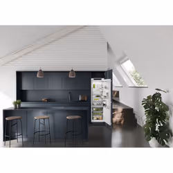 Liebherr IRBSe 5120 Plus BioFresh fridge Built-in 294 L E White