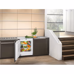 Liebherr SUIB 1550 Premium BioFresh fridge Undercounter 80 L
