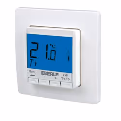 Eberle FITnp 3R, Blue, White, IP30, 5 - 30 °C, 0.1 °C, °C, Digital
