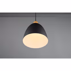 TRIO JAGGER – R30681032, 1 bulb(s), E27, IP20, Black