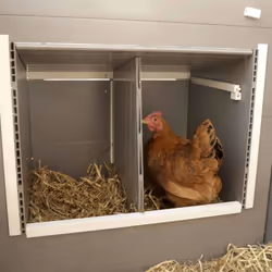 Kerbl ECO Chicken Pen Plastic Grey and White Cage Habitat Aviary House Coop - Additional view 5
