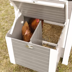 Kerbl ECO Chicken Pen Plastic Grey and White Cage Habitat Aviary House Coop - Additional view 6