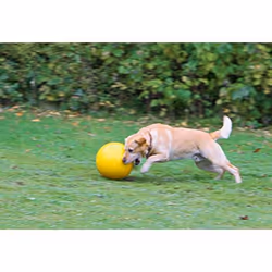 Kerbl 82274 dog/cat toy