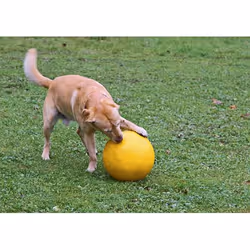 Kerbl 82274 dog/cat toy