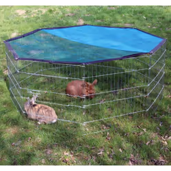 Kerbl 82708, Cage, Rabbit, Black, Blue, Stainless steel, 1 door(s), 1 pc(s)