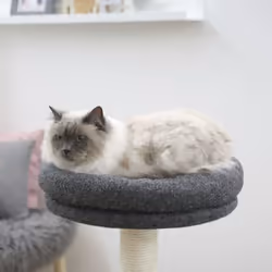 Kerbl Cat Tree Fridolin 106 cm Grey - Additional view 5
