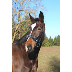 Kerbl Leather Exklusiv, VB, incl. Black Mouth Strap Cavesson