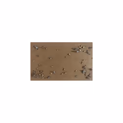 ARIES 2 Refill Set for Motlock Moth Box - Moth Trap for Clothes Moths - Adhesive Trap for Infestation Detection and Sustainable Moth Protection for