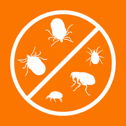 Flea Spray for the home 400ml - Household Flea Spray & House flea treatment - Flea spray for house to kill fleas and eggs - Also for animal