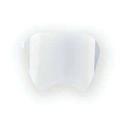 Faceshield Protector, Pack of 15