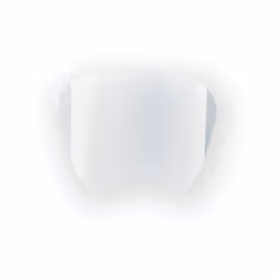 Moldex Series 9000 Faceshield Protector Per/15