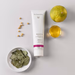 Dr. Hauschka Shampoo