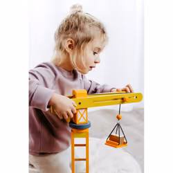 Small foot Crane with Construction Site Accessories